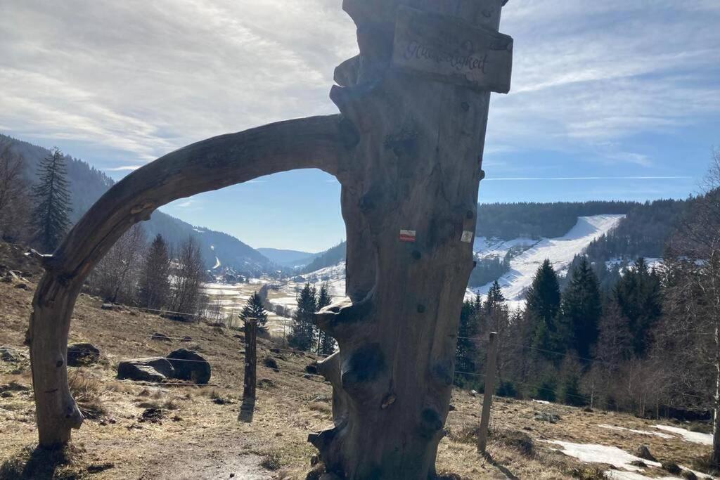 Gemuetliche Ferienwohnung In Sankt Blasien Esterno foto