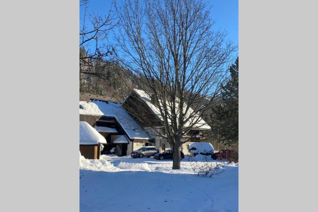 Gemuetliche Ferienwohnung In Sankt Blasien Esterno foto