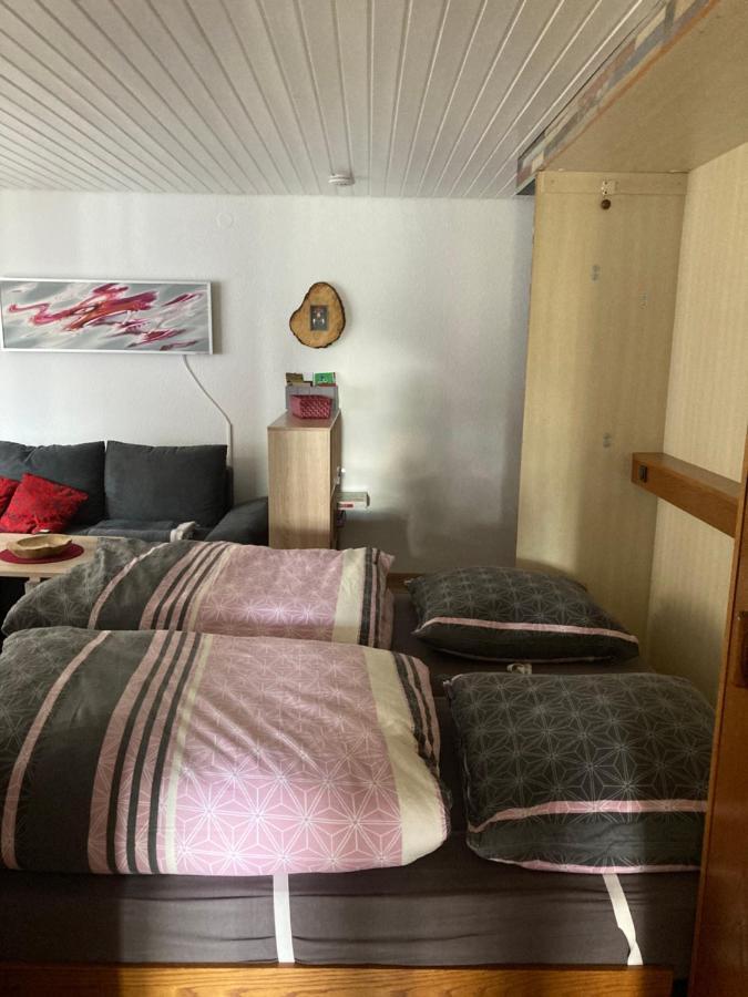 Gemuetliche Ferienwohnung In Sankt Blasien Esterno foto