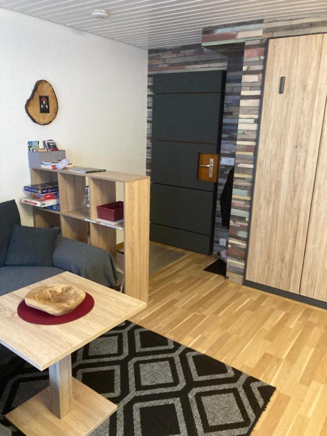 Gemuetliche Ferienwohnung In Sankt Blasien Esterno foto
